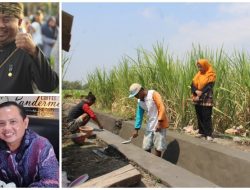 Dukung Bus Patas, 44 Desa Naik Kelas Menjadi Desa Mandiri